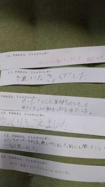 すみれソロ
